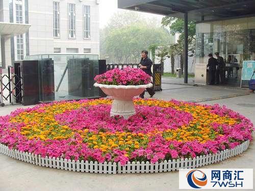 上海植物租摆|绿化租赁普陀区花卉公司